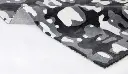 Abstract1(2).webp