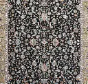 Persian12(1).webp