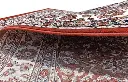 Persian14(3).webp