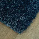 Shaggy1(2).webp