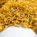 shaggy2(2).webp