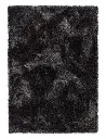 Shaggy3(2).webp