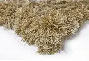 Shaggy8(1).webp