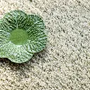 Shaggy11(3).webp